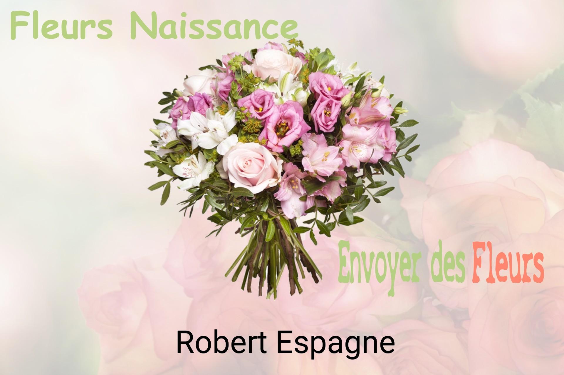 Bouquet de fleurs de naissance livré à Robert-Espagne