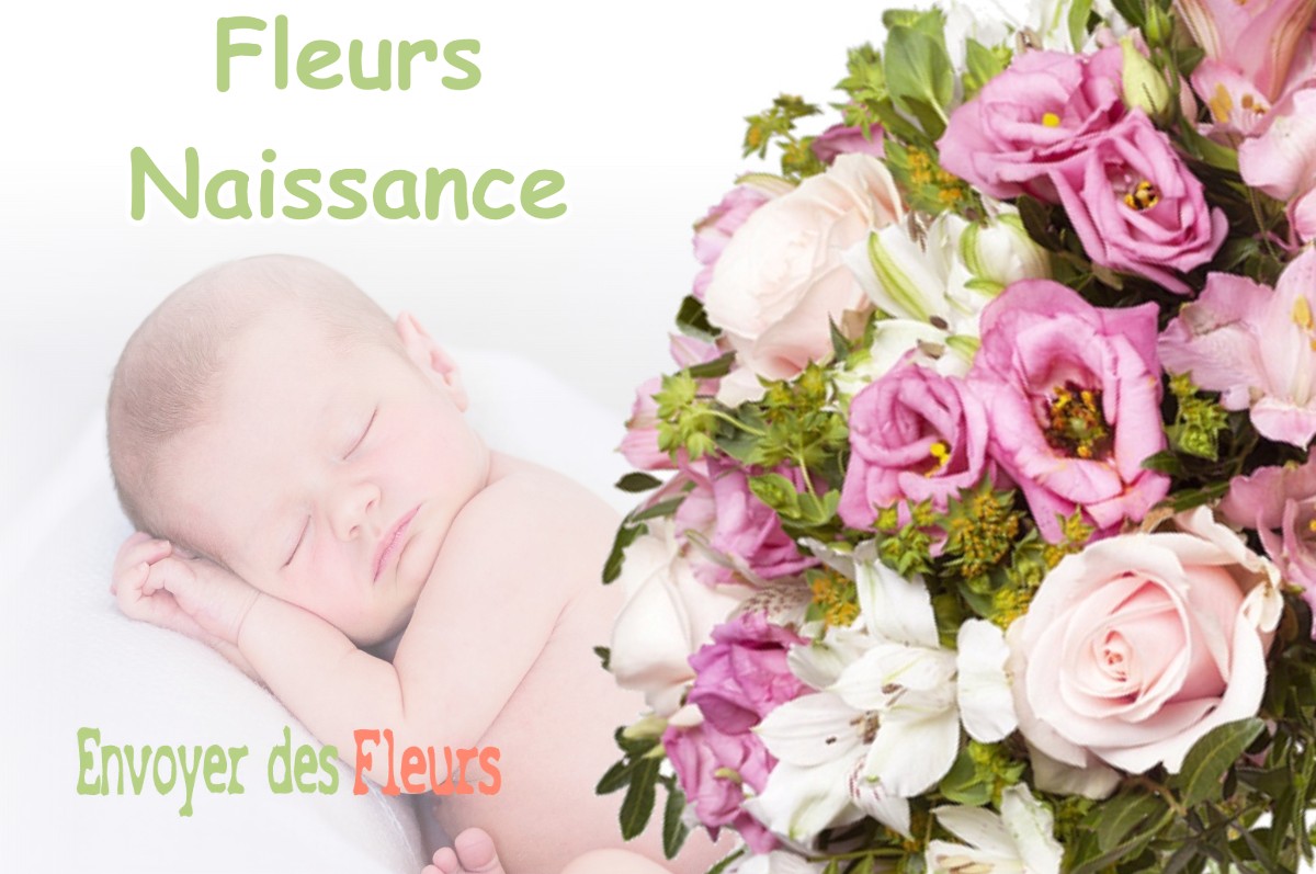 lIVRAISON FLEURS NAISSANCE à ROBERT-ESPAGNE